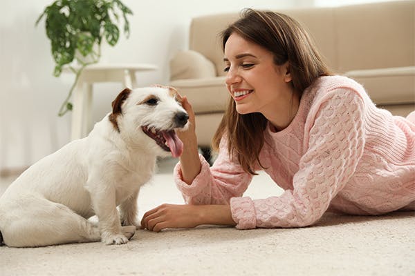 Young-woman-with-her-cute-Jack-Russell-Terrier-at-home.